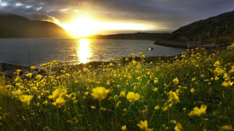 Mindfulness, magi og midnattssol – en reise til Finnmark